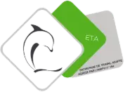 Les dauphins Saint-Nicolas